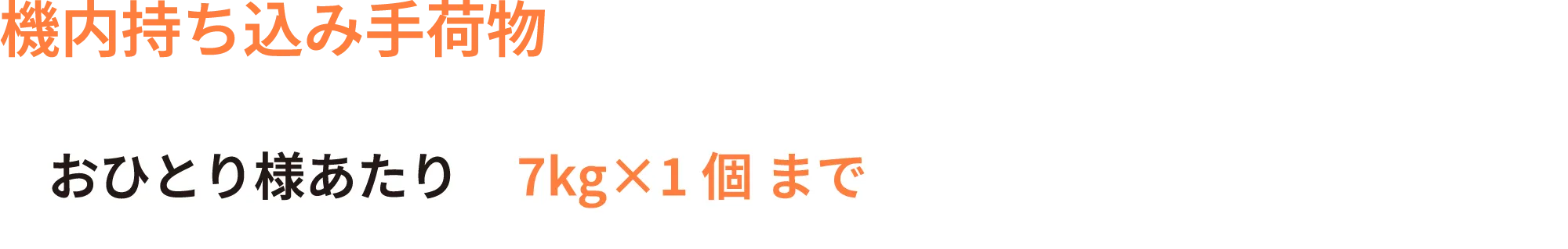 機内持ち込み手荷物